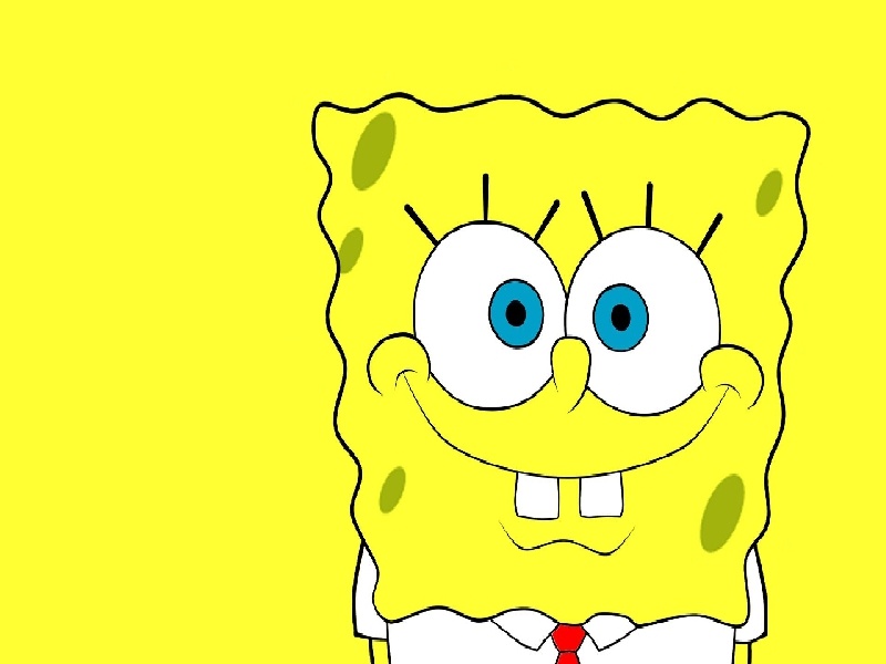 分液漏斗和试管,试管常青藤