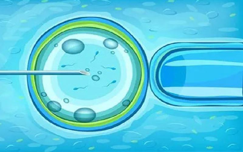 深圳试管婴儿冻胚费用代生